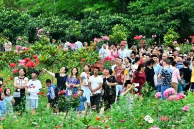 沸騰的小山村——伏虎寺外桃源，令人震撼的美！