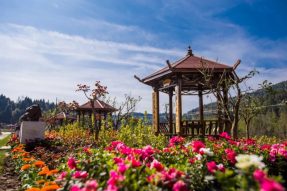 南部縣伏虎鎮正覺寺村：大力發展鄉村旅游 拓寬群眾增收路徑【民生播報】